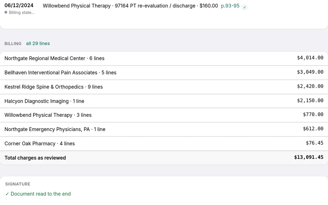 Synthetic billing summary: charges by provider for seven providers, with total charges as reviewed of $13,091.45.
